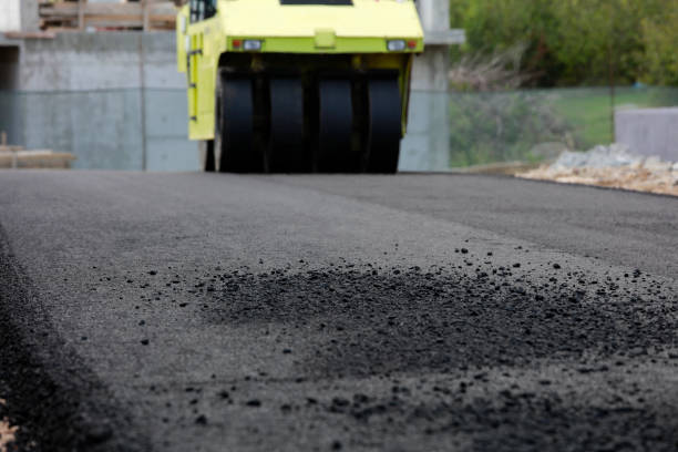 Best Best Driveway Pavers  in Williamsburg, FL
