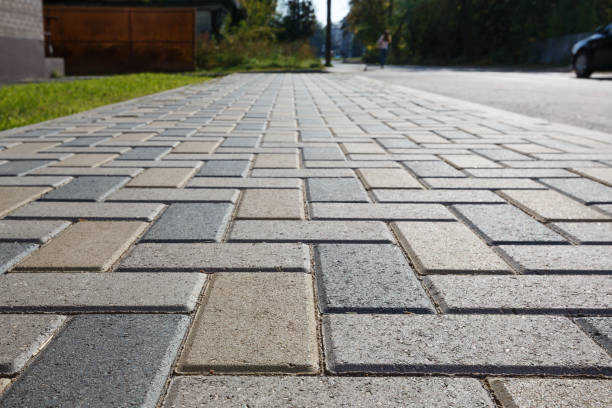 Best Interlocking Driveway Pavers  in Williamsburg, FL