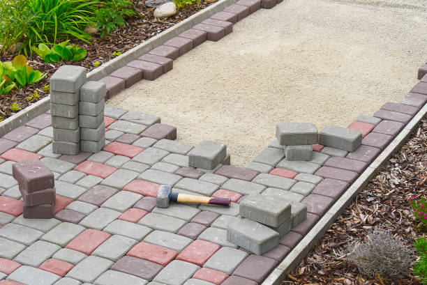 Best Local Driveway Pavers  in Williamsburg, FL